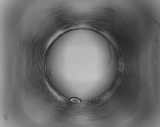 X0000101671438200807241430