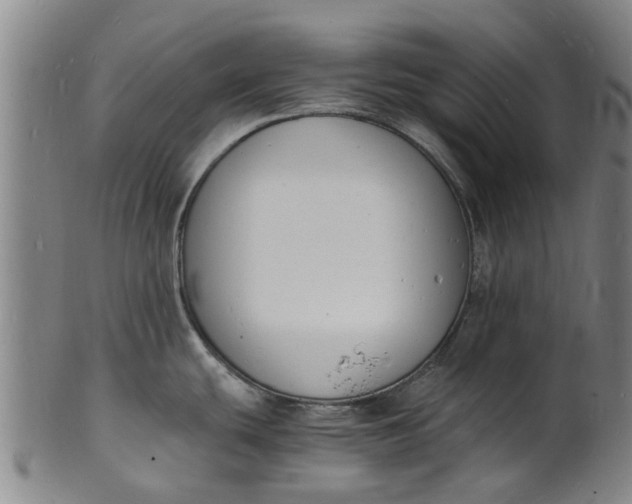 X0000101671439200807241430