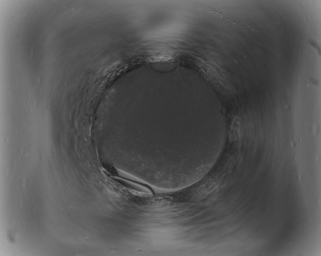 X0000101671441200807241429
