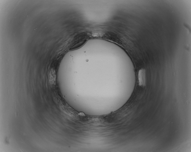 X0000101671443200807241429