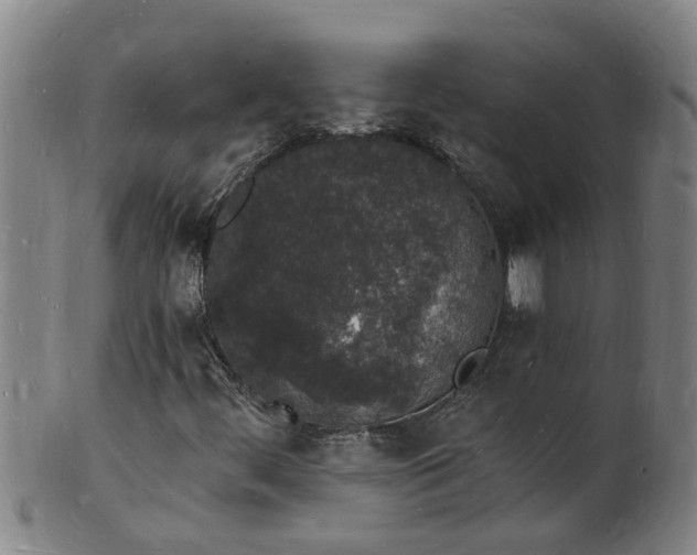 X0000101671444200807241429