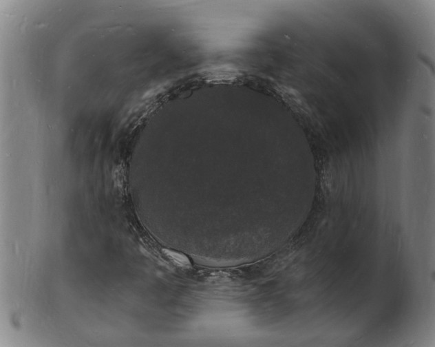 X0000101671445200807241429