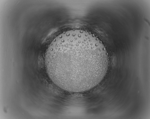 X0000101671446200807241429