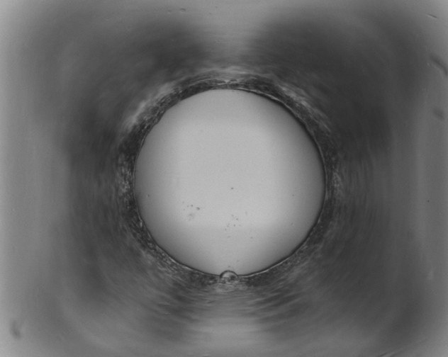 X0000101671447200807241429