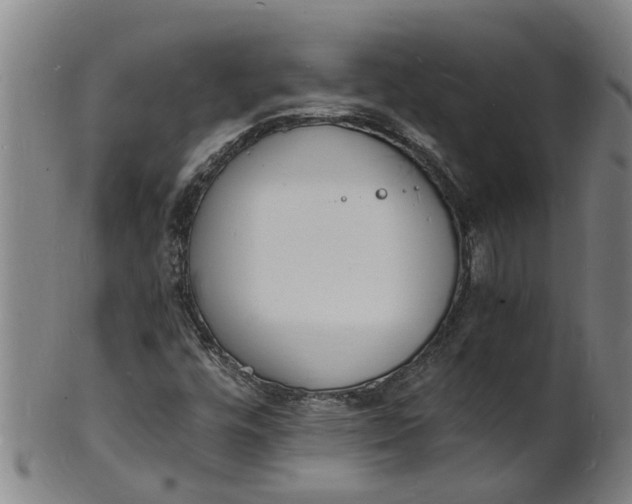 X0000101671448200807241429