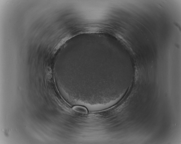 X0000101671449200807241429