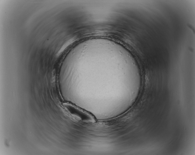 X0000101671450200807241429