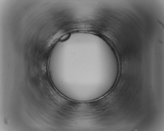 X0000101671451200807241429
