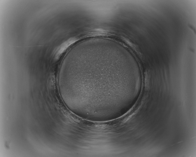 X0000101671453200807241429