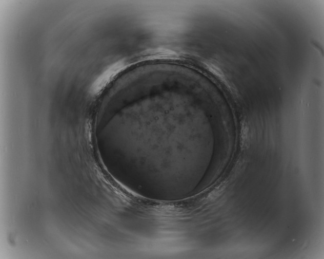 X0000101671455200807241429