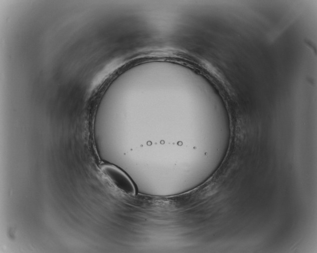 X0000101671456200807241429