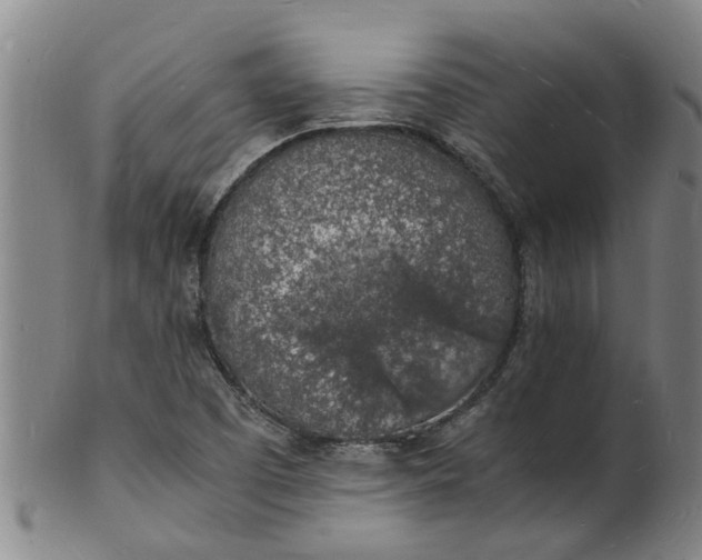 X0000101671457200807241429