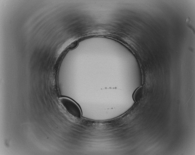 X0000101671458200807241429