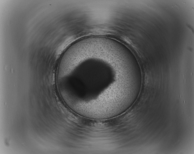 X0000101671459200807241429