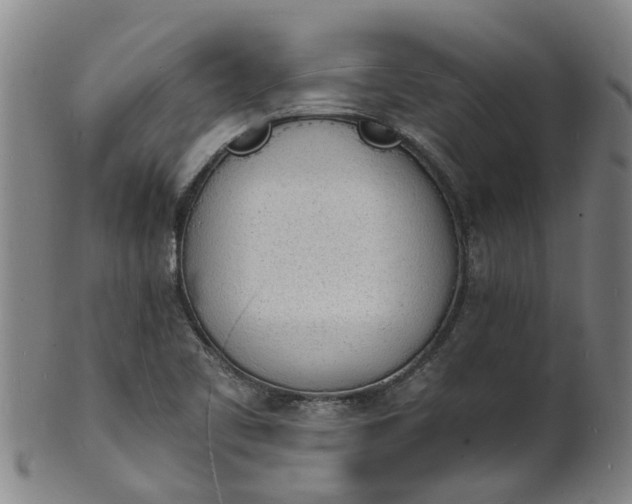 X0000101671461200807241429