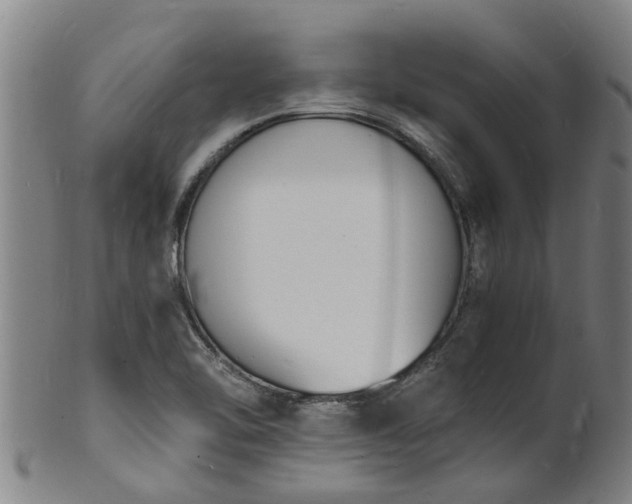 X0000101671462200807241429