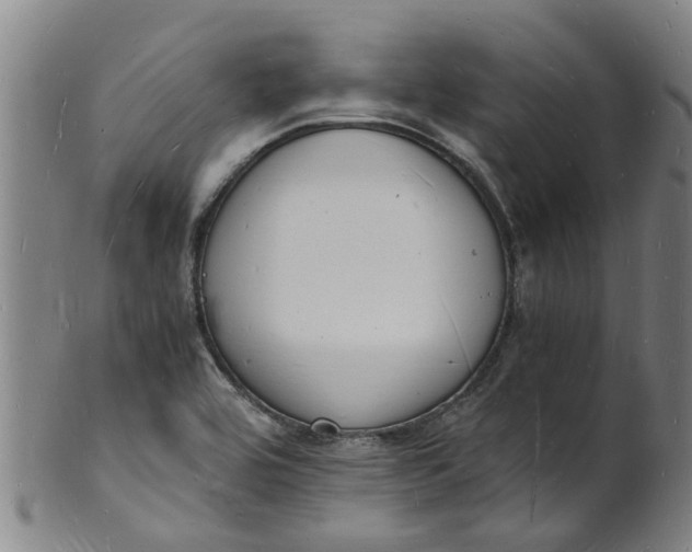 X0000101671464200807241429