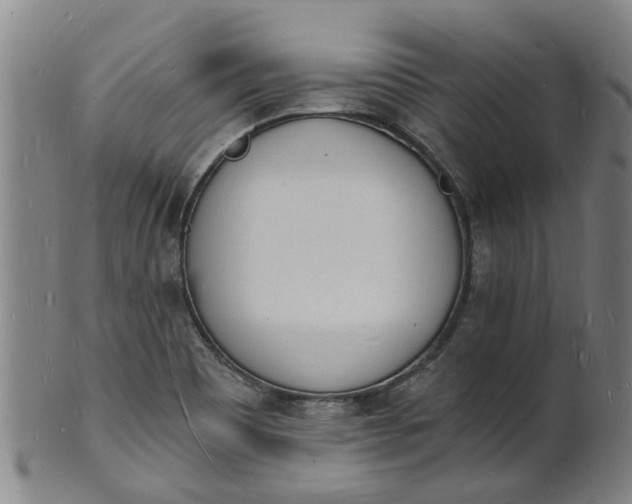 X0000101671465200807241429