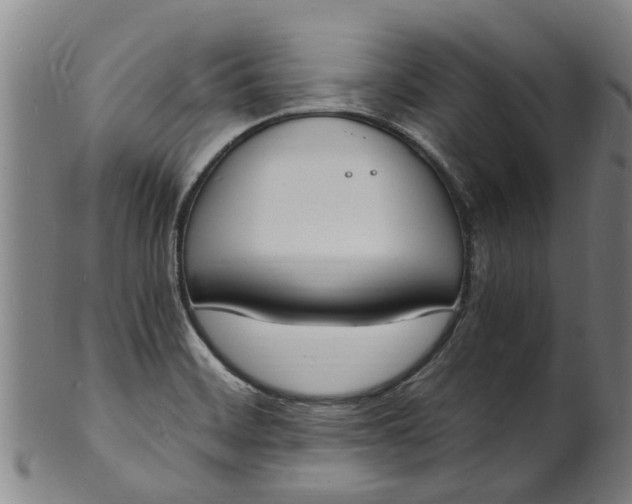 X0000101671468200807241429