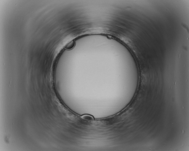 X0000101671469200807241429