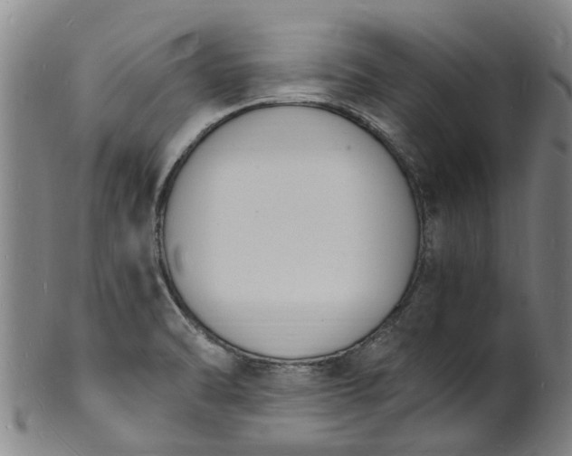 X0000101671470200807241429