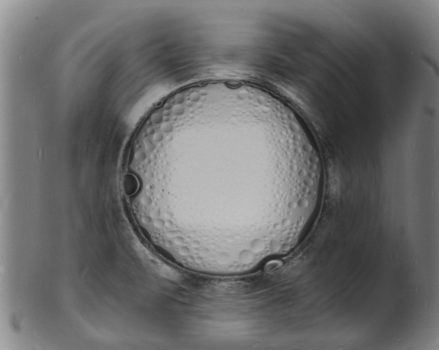 X0000101671471200807241429