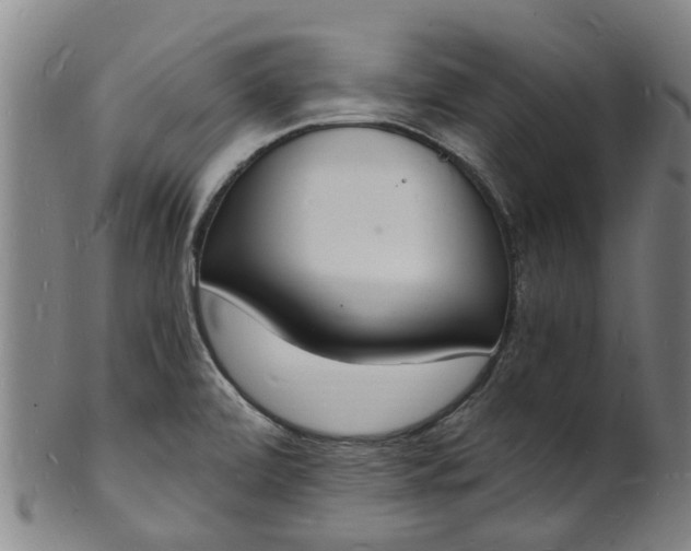 X0000101671472200807241429