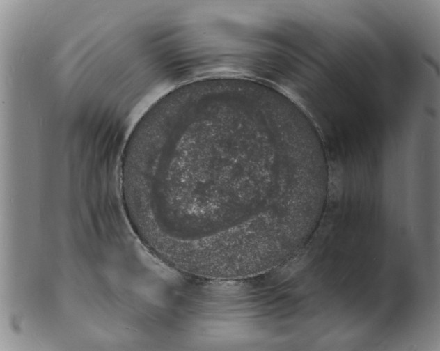 X0000101671474200807241429
