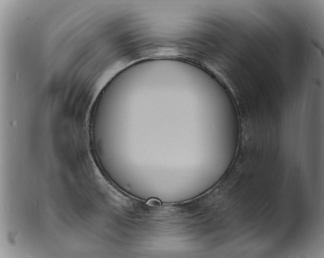 X0000101671475200807241429