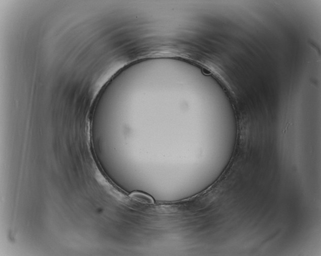 X0000101671476200807241429
