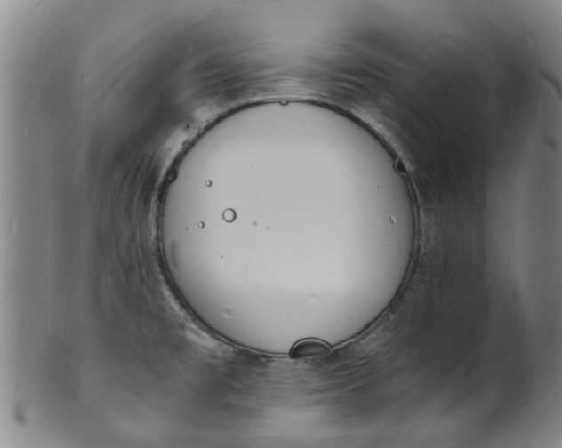 X0000101671477200807241429