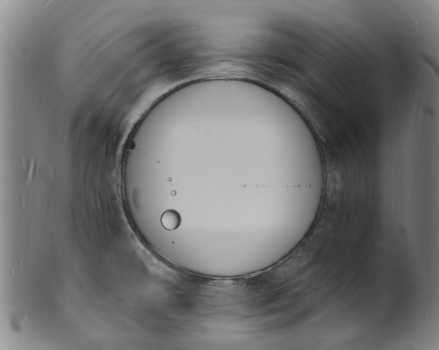 X0000101671478200807241429