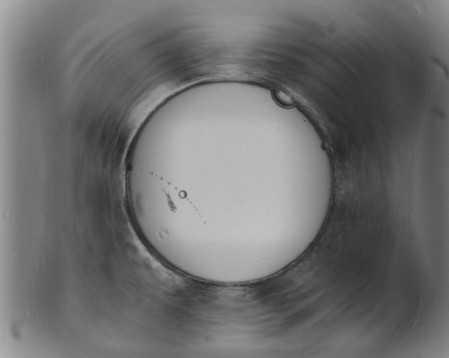 X0000101671479200807241429