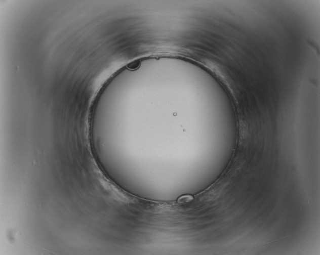 X0000101671480200807241429