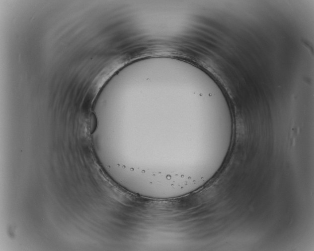 X0000101671481200807241429