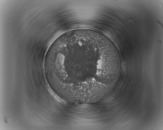 X0000101671482200807241429