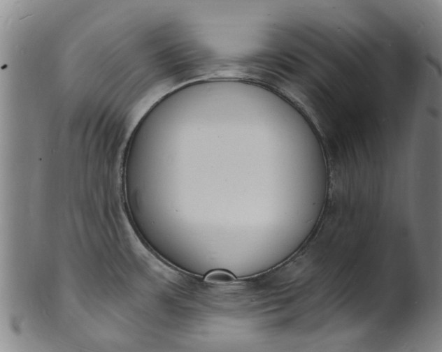 X0000101671483200807241429