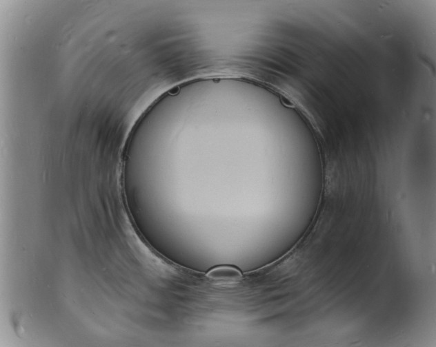 X0000101671484200807241429
