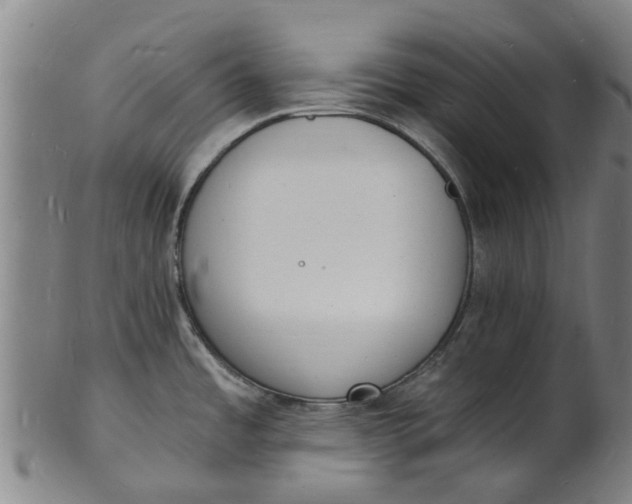 X0000101671485200807241429