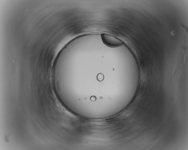 X0000101671486200807241429