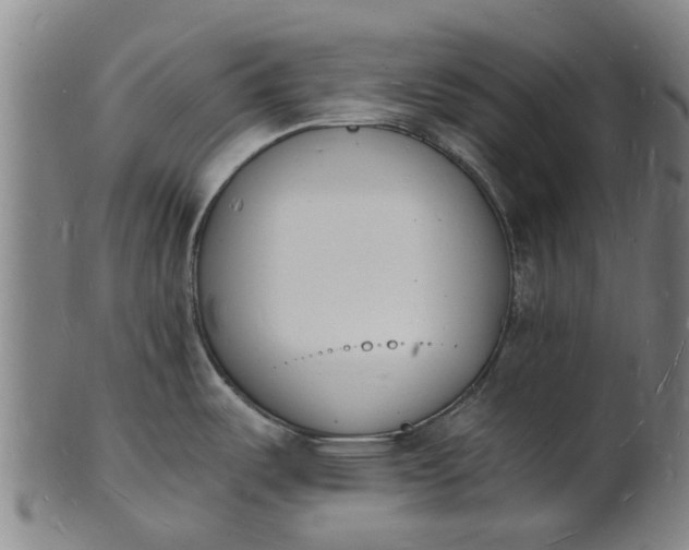 X0000101671487200807241429