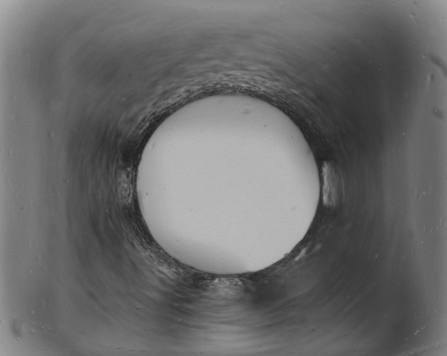 X0000101671491200807241428