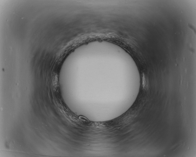 X0000101671492200807241428