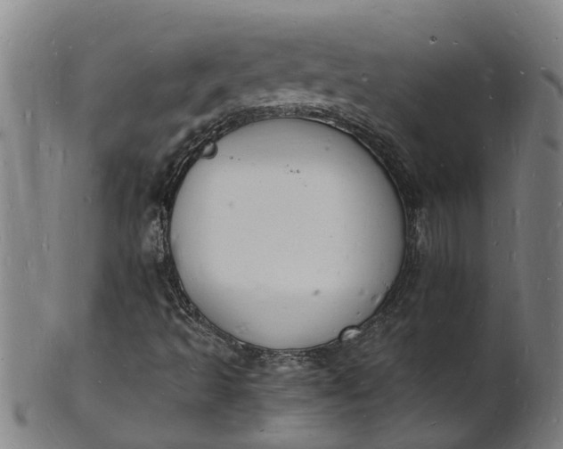 X0000101671493200807241428