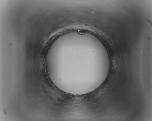 X0000101671494200807241428