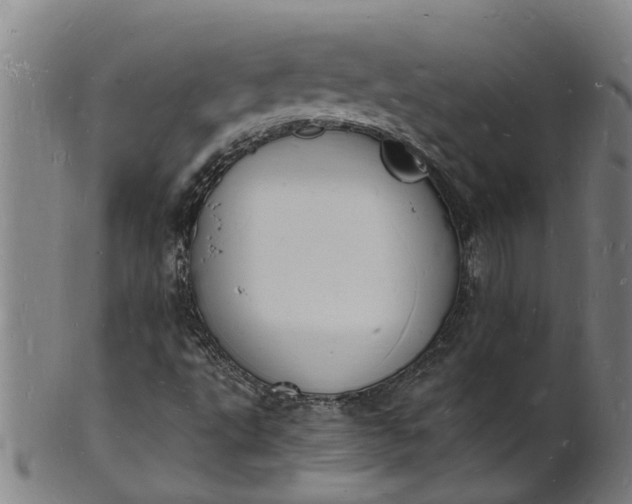 X0000101671495200807241428