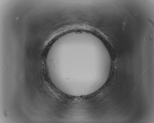 X0000101671496200807241428