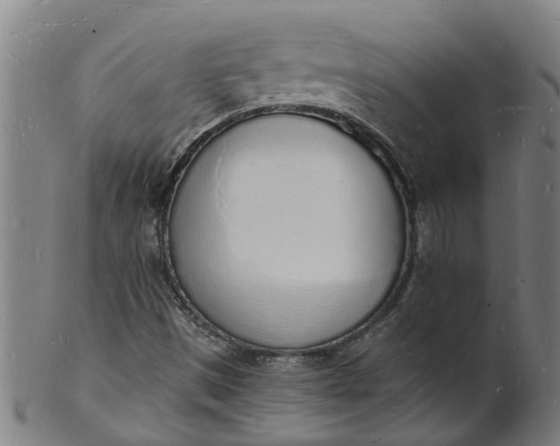 X0000101671497200807241428