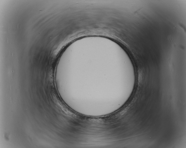 X0000101671498200807241428