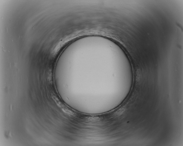 X0000101671499200807241428